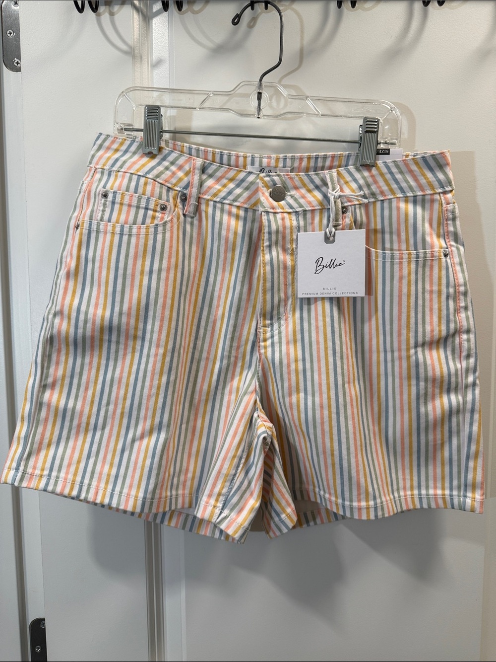 Multicolor Pastel Stripe Women's Shorts